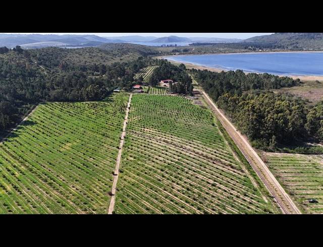 FARM FOR SALE IN RONDEVLEI